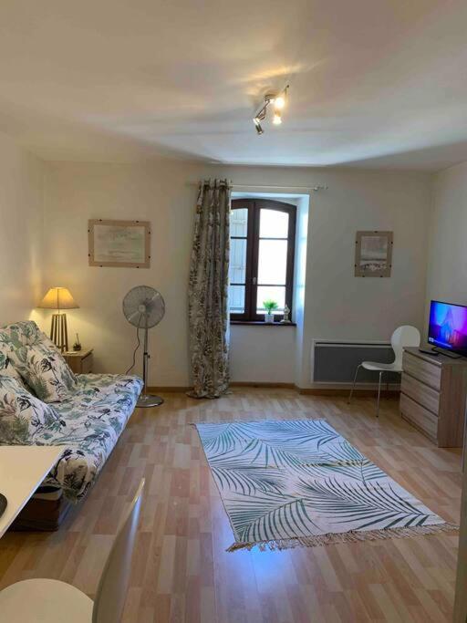 Aubenas Plein Centre Tout Pres Du Chateau Bagian luar foto